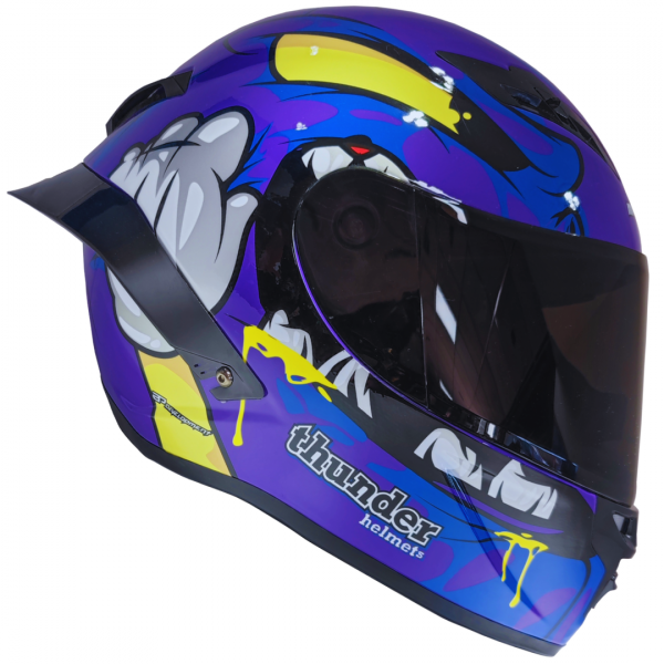 CASCO ESTILO RACING THUNDER FISH
