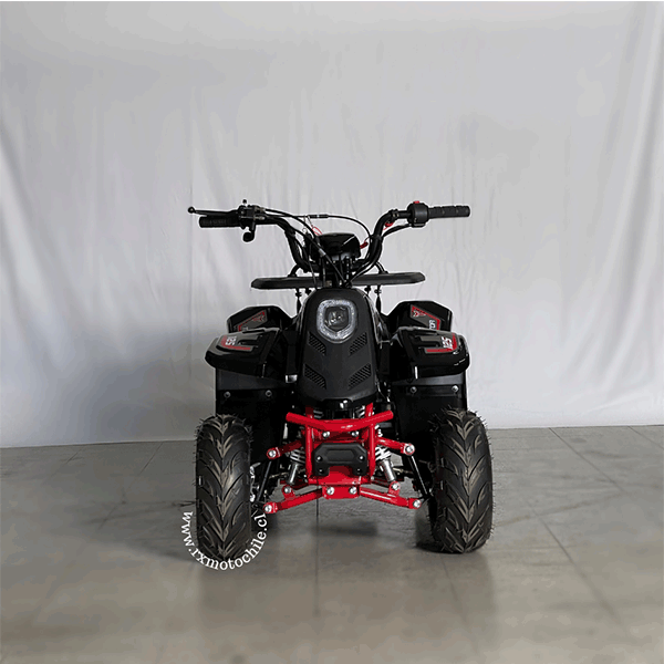 raptor 110cc tao motor