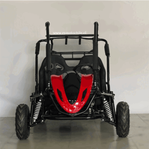 buggy sk 200cc tao motor