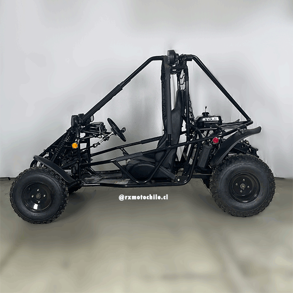 Buggy 200cc (Tao motor)