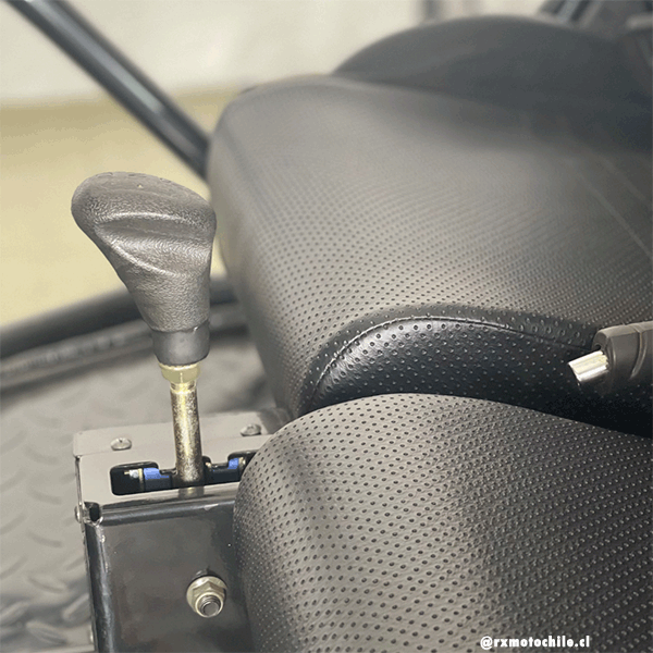 Buggy 200cc (Tao motor)