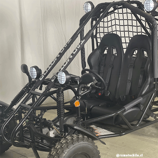 Buggy 200cc (Tao motor)