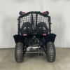 Buggy 200cc (Tao motor)