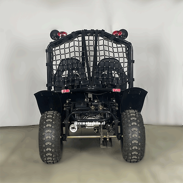 Buggy 200cc (Tao motor)