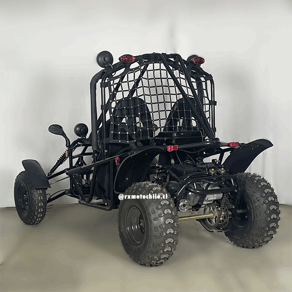 Buggy 200cc (Tao motor)