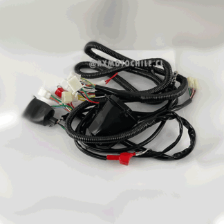 ramal electrico largo