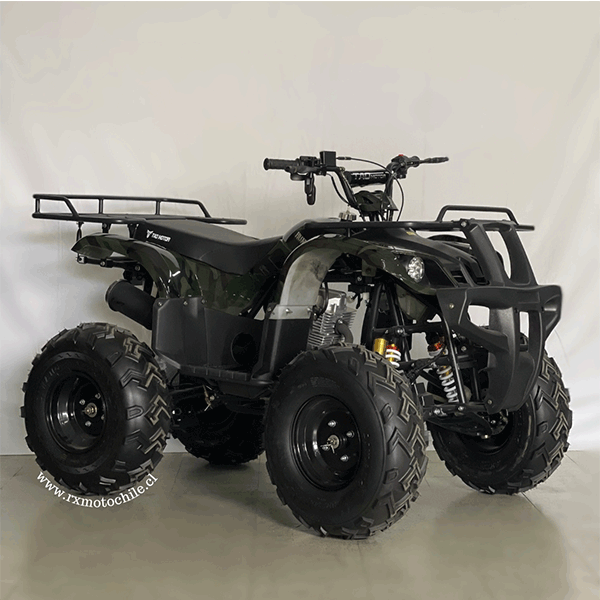 cuatrimoto mecanica 250cc tao motor 6 marchas