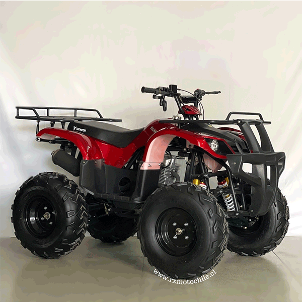 cuatrimoto mecanica 250cc tao motor 6 marchas
