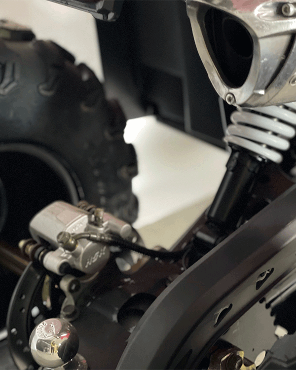 Cuatrimoto Hunter 250cc Tao Motor Automatica Con Retroceso 1