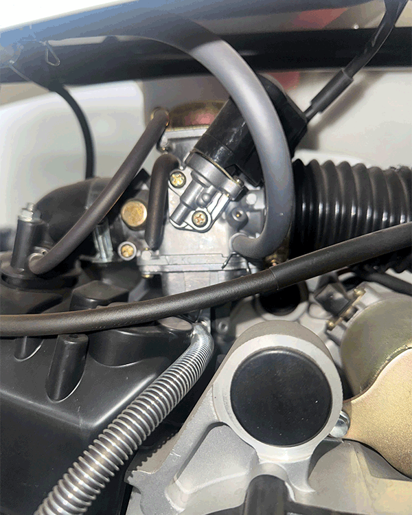 Cuatrimoto Hunter 250cc Tao Motor Automatica Con Retroceso 11