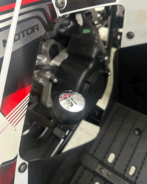 Cuatrimoto Hunter 250cc Tao Motor Automatica Con Retroceso 12