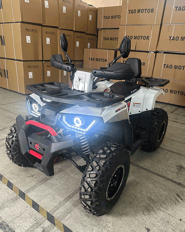 Cuatrimoto Hunter 250cc Tao Motor Automatica Con Retroceso 13