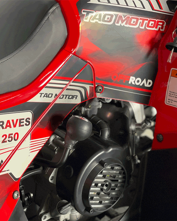 Cuatrimoto Hunter 250cc Tao Motor Automatica Con Retroceso 2