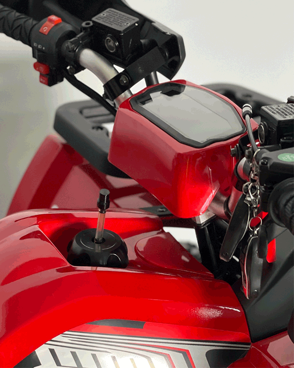 Cuatrimoto Hunter 250cc Tao Motor Automatica Con Retroceso 4