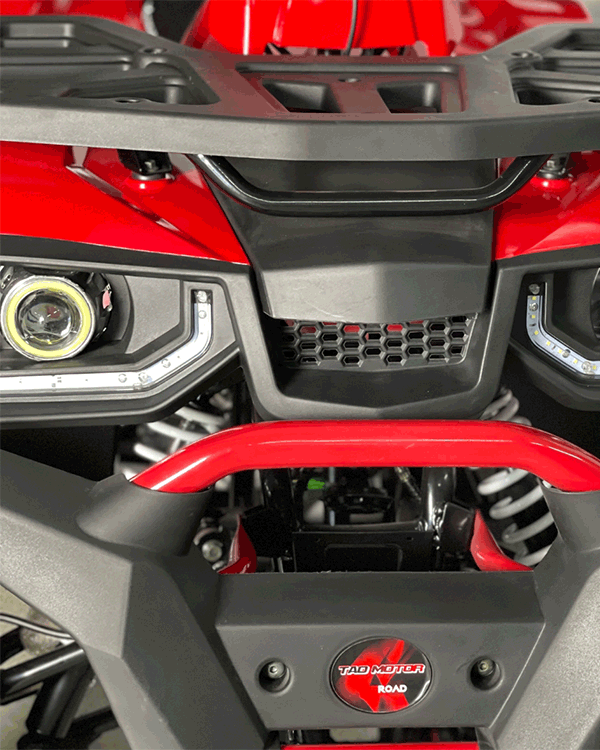 Cuatrimoto Hunter 250cc Tao Motor Automatica Con Retroceso 5