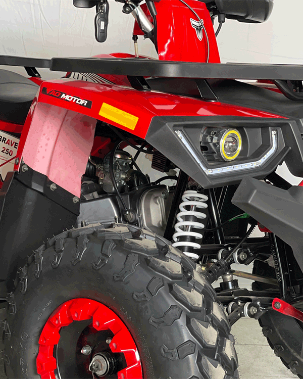 Cuatrimoto Hunter 250cc Tao Motor Automatica Con Retroceso 6