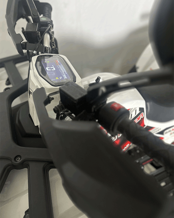 Cuatrimoto Hunter 250cc Tao Motor Automatica Con Retroceso 8