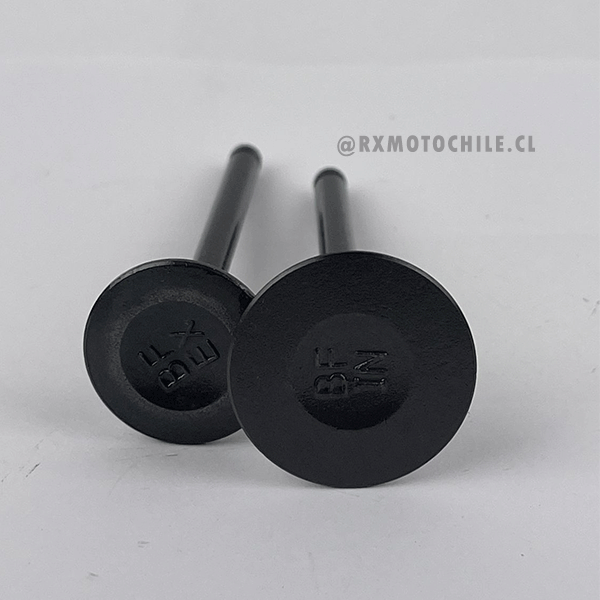 El juego de válvulas de admisión y escape Regulan la entrada de la mezcla de aire y combustible al cilindro, así como la expulsión de los gases de escape.