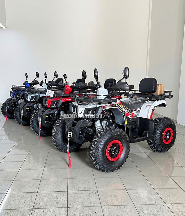 Cuatrimoto warrior 200cc | Tao motor - Imagen 9