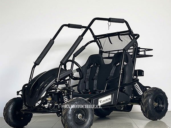 Buggy SK200 | Tao motor