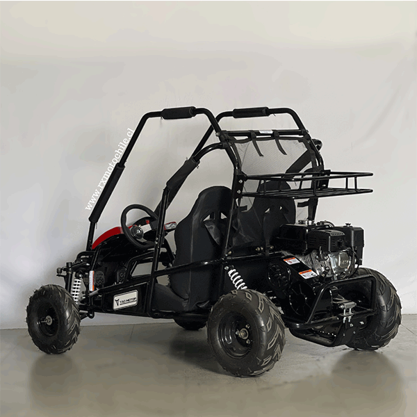 buggy-sk200cc-10