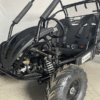 Buggy Baja Sprinter 200cc (Tao motor)