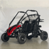 buggy sk 200cc de la marca tao motor