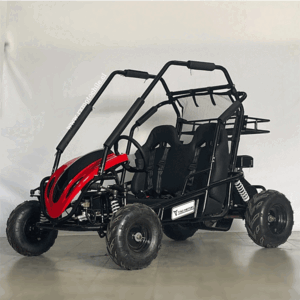 buggy sk 200cc de la marca tao motor