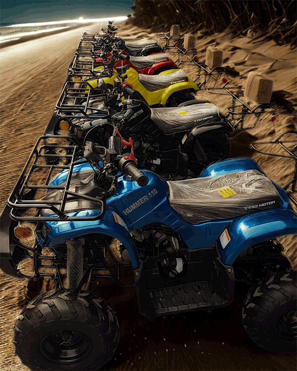 Cuatrimoto Hummer 110cc Tao Motor Automatica Con Retroceso 4