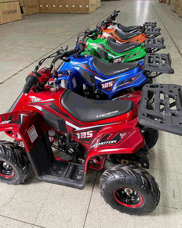 Cuatrimoto Raptor Boulder 110cc Automatica Tao Motor 1