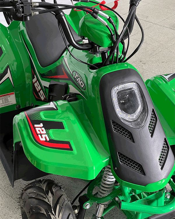 Cuatrimoto Raptor Boulder 110cc Automatica Tao Motor 10