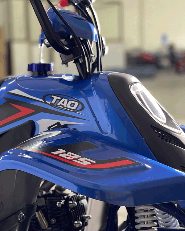 Cuatrimoto Raptor Boulder 110cc Automatica Tao Motor 2