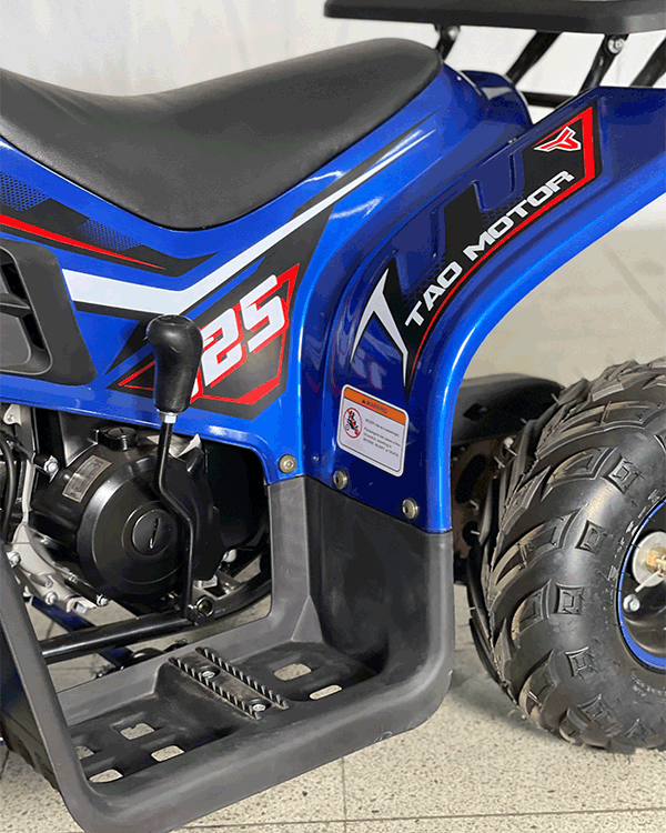 Cuatrimoto Raptor Boulder 110cc Automatica Tao Motor 3