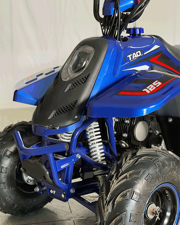 Cuatrimoto Raptor Boulder 110cc Automatica Tao Motor 4