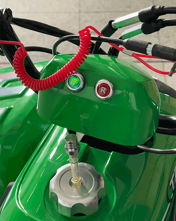Cuatrimoto Raptor Boulder 110cc Automatica Tao Motor 5