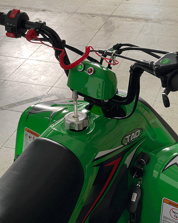 Cuatrimoto Raptor Boulder 110cc Automatica Tao Motor 7