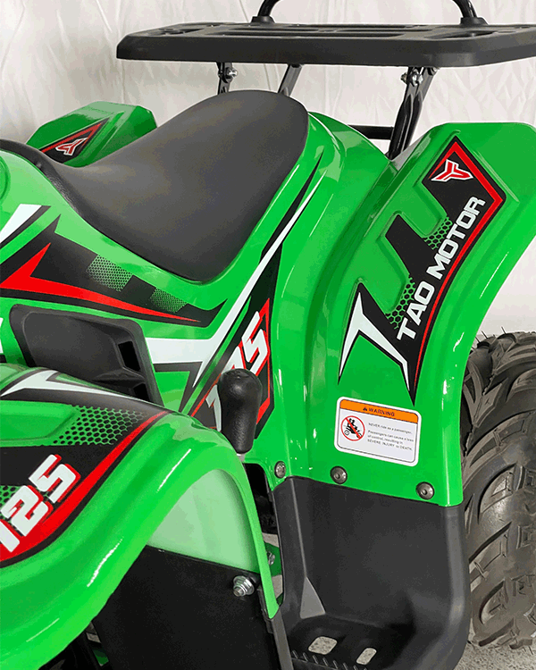 Cuatrimoto Raptor Boulder 110cc Automatica Tao Motor 9