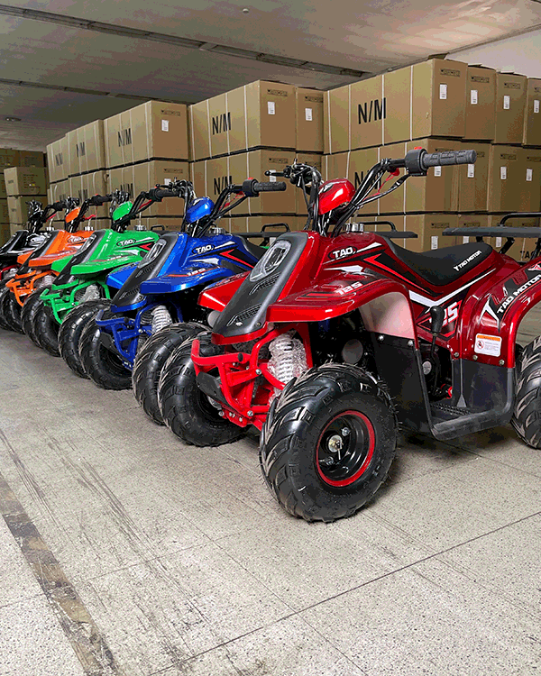 Cuatrimoto Raptor Boulder 110cc Automatica Tao Motor