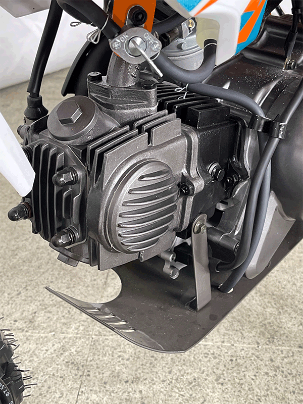 Motocicleta dirtbike 110cc DB20 Tao motor