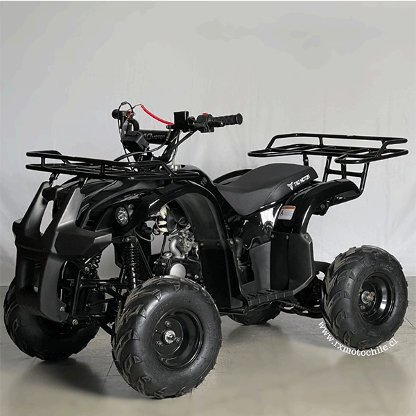 Cuatrimoto hummer 110cc Tao motor automática con retroceso