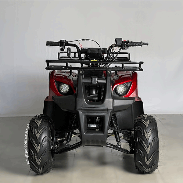 Cuatrimoto hummer 110cc Tao motor automática con retroceso