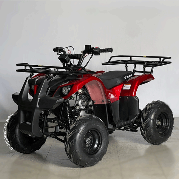 Cuatrimoto hummer 110cc Tao motor automática con retroceso
