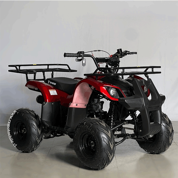 Cuatrimoto hummer 110cc Tao motor automática con retroceso