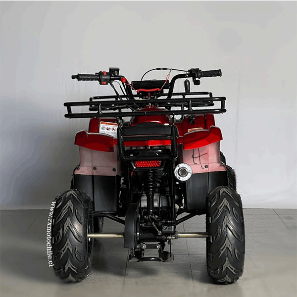 Cuatrimoto hummer 110cc Tao motor automática con retroceso