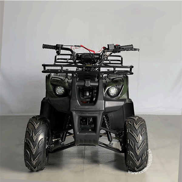 Cuatrimoto hummer 110cc Tao motor automática con retroceso