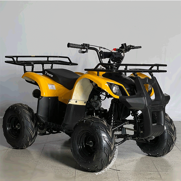 Cuatrimoto hummer 110cc Tao motor automática con retroceso