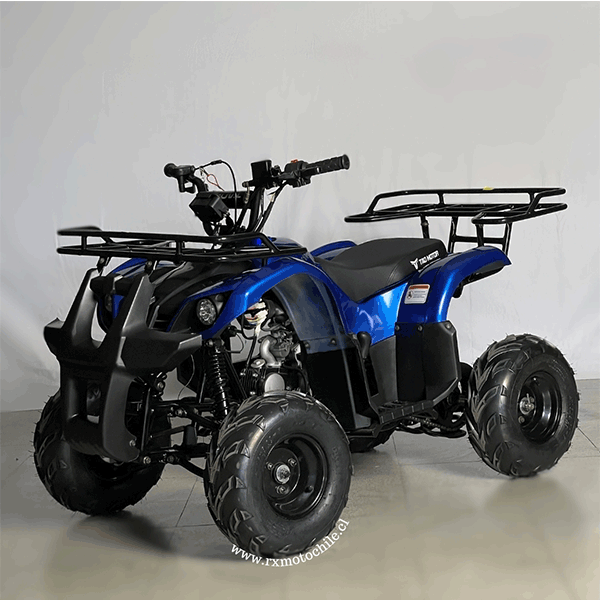Cuatrimoto hummer 110cc Tao motor automática con retroceso