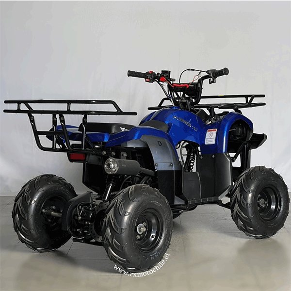 Cuatrimoto hummer 110cc Tao motor automática con retroceso