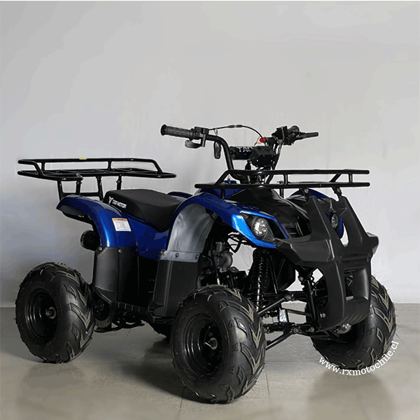 Cuatrimoto hummer 110cc Tao motor automática con retroceso
