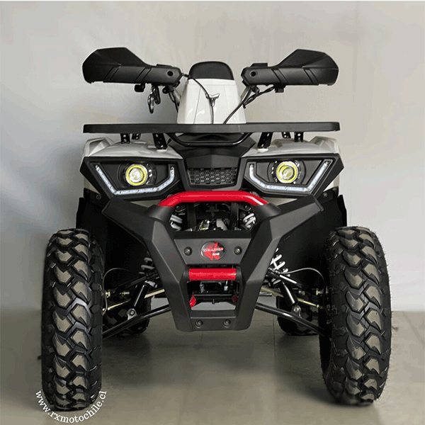 Cuatrimoto hunter 250cc tao motor